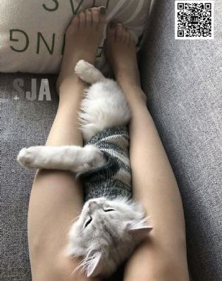 天道电视剧完整版免费观看