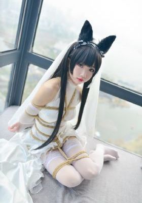 少年四大名捕电视剧免费观看